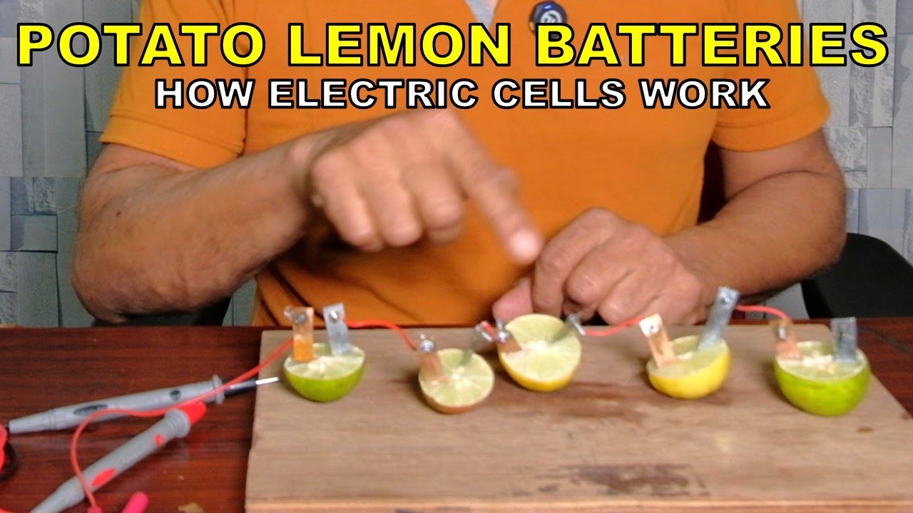 ELECTRICITY FROM  POTATO, LEMON, ZINC-COPPER ACID | HOW ELECTRIC CELL WORKS