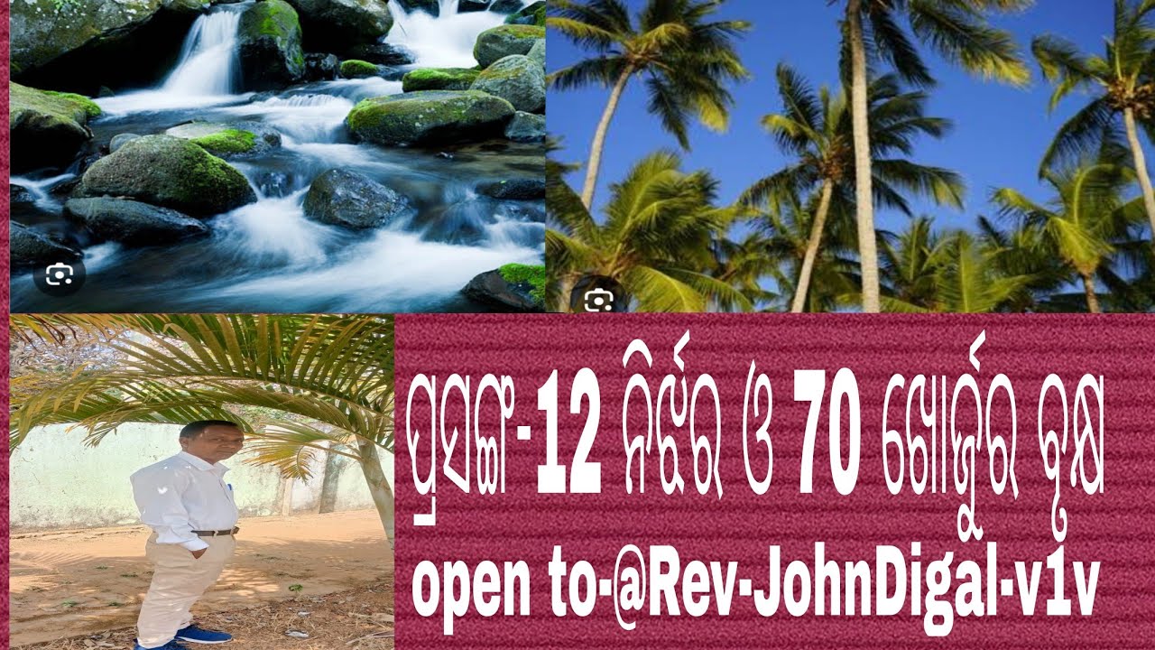 ପ୍ରସଙ୍ଗ-12 ନିର୍ଝର ଓ 70 ଖୋର୍ଜୁର ବୃକ୍ଷ. @Rev-JohnDigal mob-6371216421 