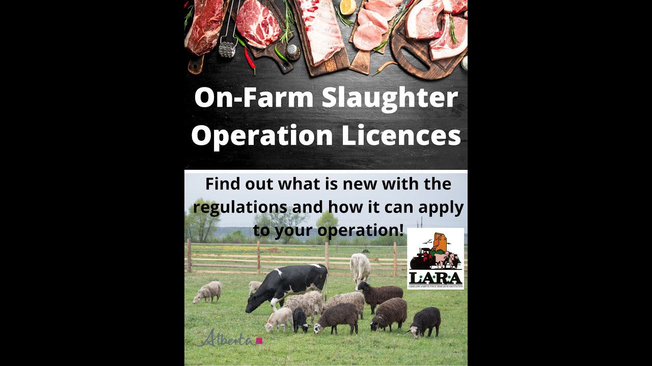 On Farm Slaughter Operations Licences
