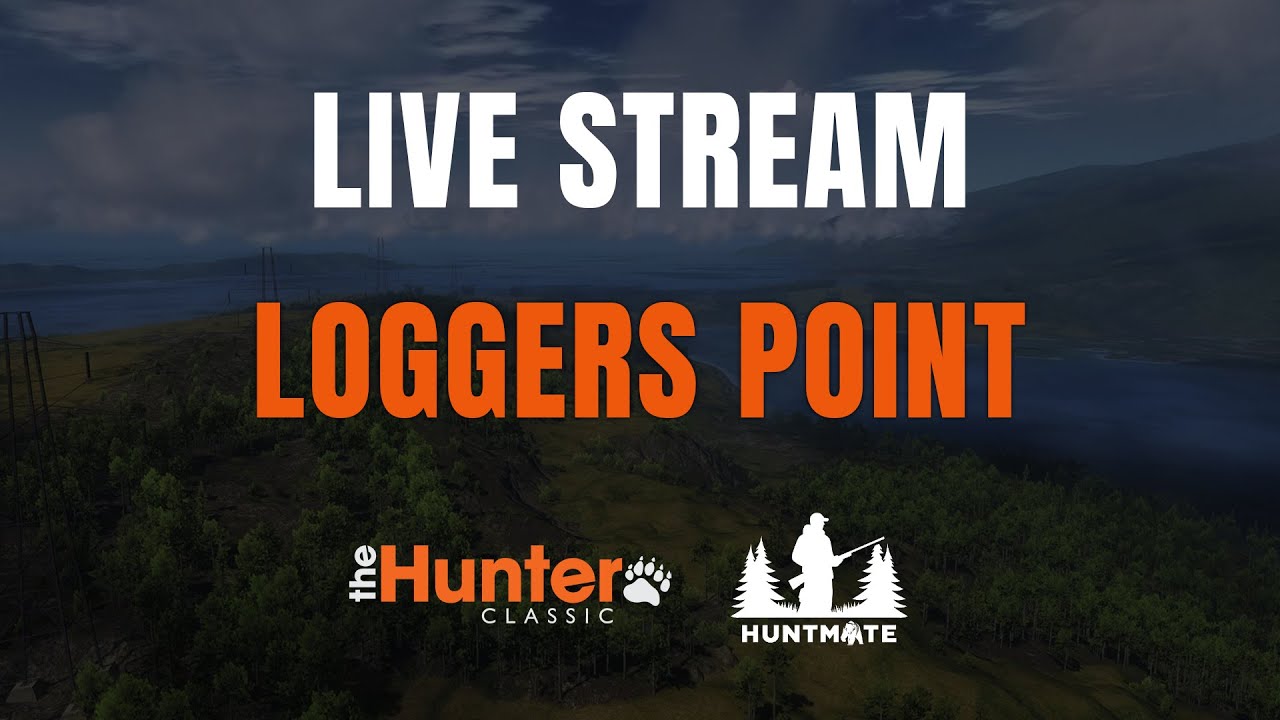 LIVE: theHunter Classic - drive - Logger's Point