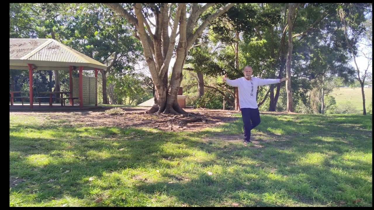 Tai Chi Yang Cheng Fu style Taiji 108 Slow practice Form