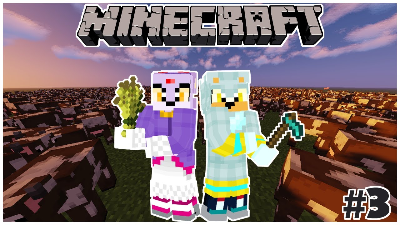 Silver & Blaze Play Minecraft - Part 3 - THE FARMING BEGINS!