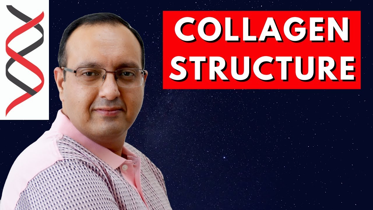 Collagen Structure - Protein Biochemistry