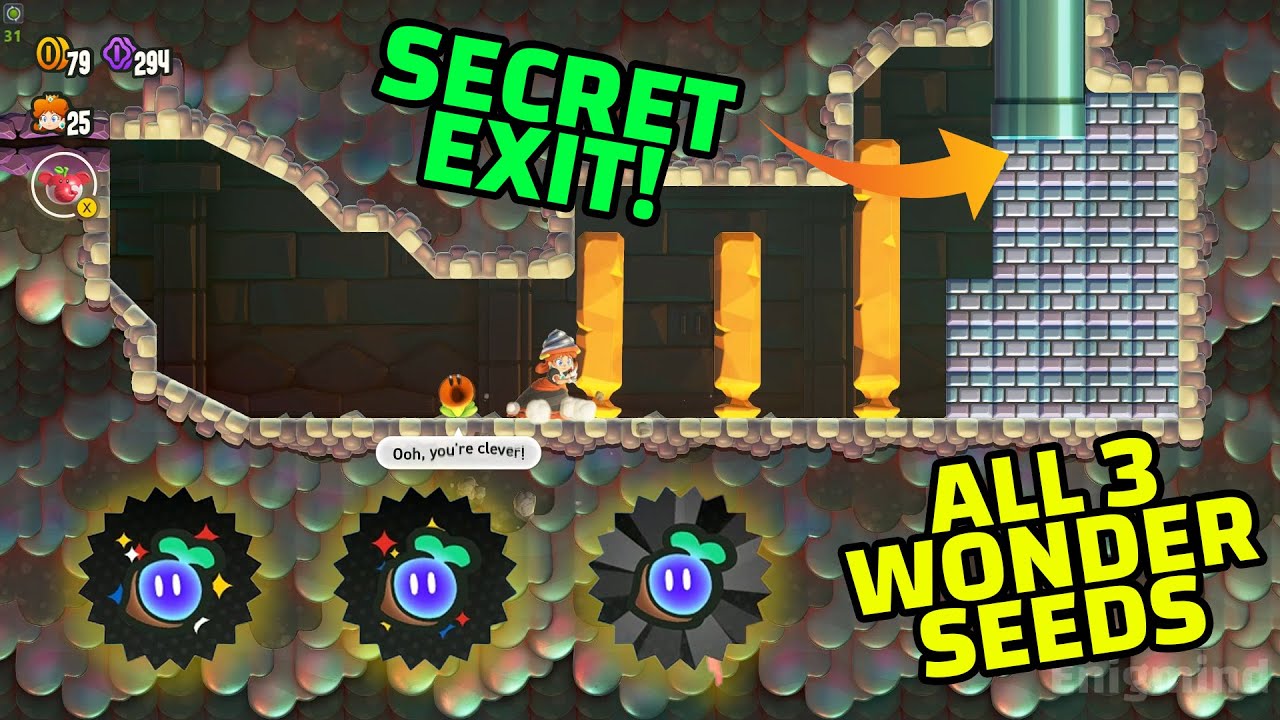 Where the Rrrumbas Rule Guide All 3 Wonder Seeds & Coins & Secret Exits Location (2023)