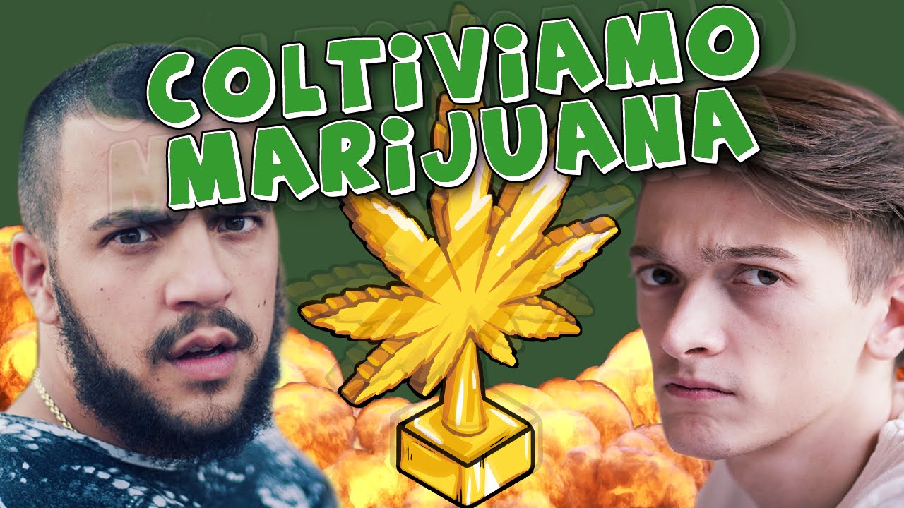 FRAX E DREAD COLTIVANO MARIJUANA