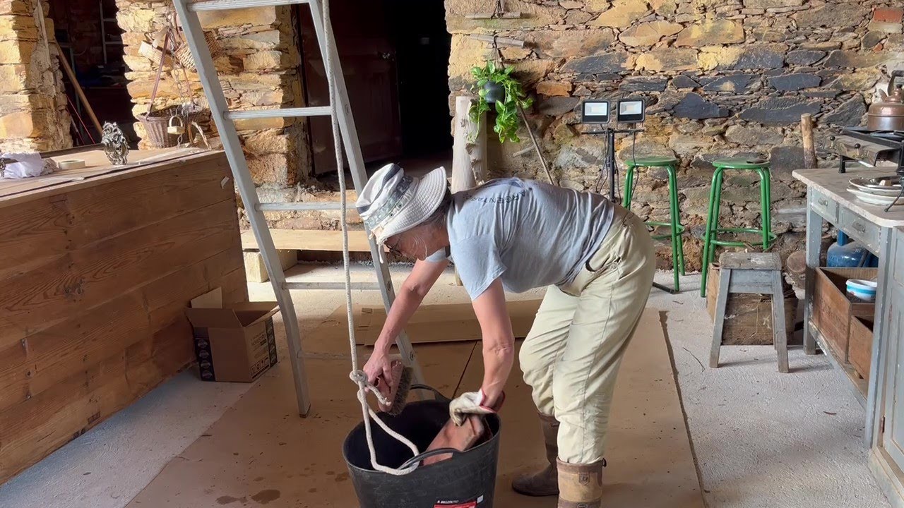 Part 5. Transforming the Courtyard Garden
