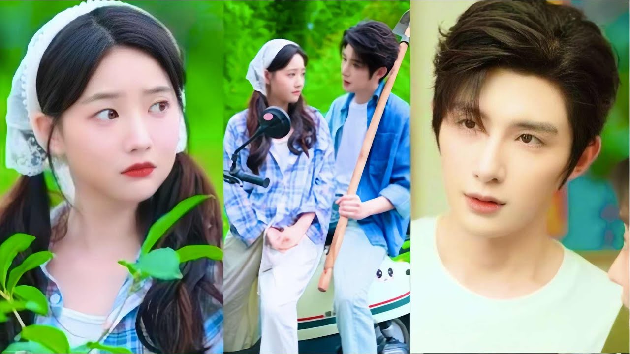 Được Cô Gái Quê Giúp Đỡ, Tổng Tài Mặt Dày Xin Ở Rể Và Cái Kết Bất Ngờ | Phim Hay