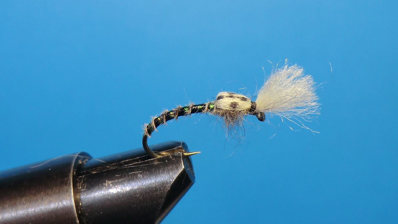 Floating midge by Giancarlo