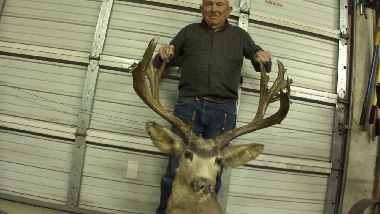 ScoreTextWin.com - George Abbott buck 1938-1941 35 inches wide