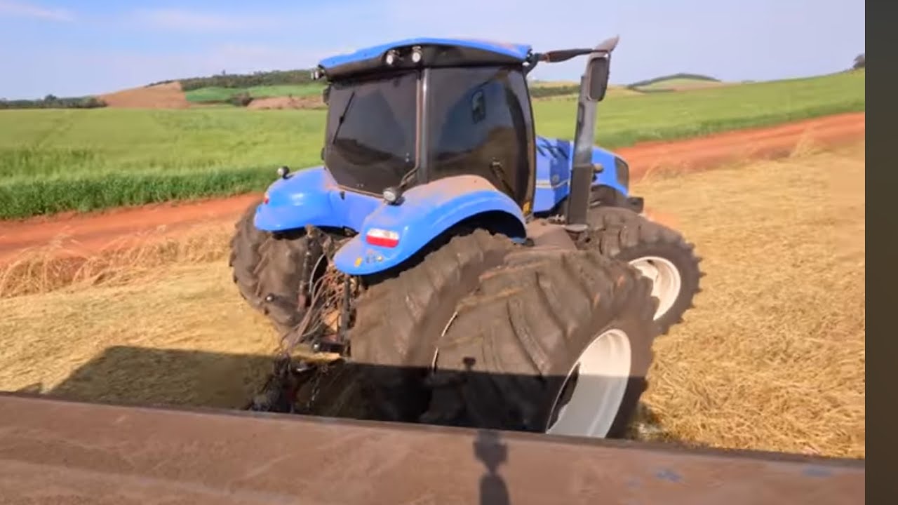 T8 PLANTANDO FÓSFORO 🤯