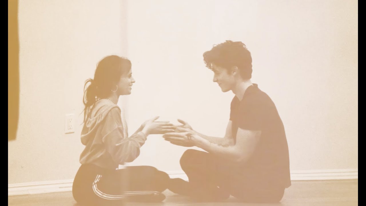Shawn Mendes & Camila Cabello - 