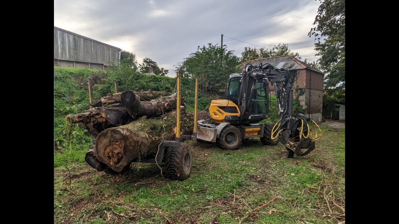 Mecalac 7MWR excavator moving diseased Ash trees