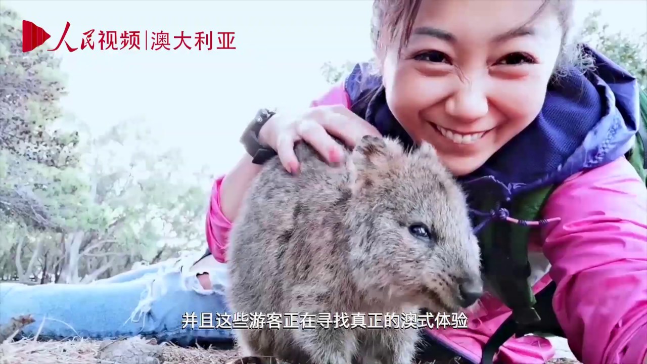 头条之外——中澳贸易的真实故事：（四）关于体验（1）