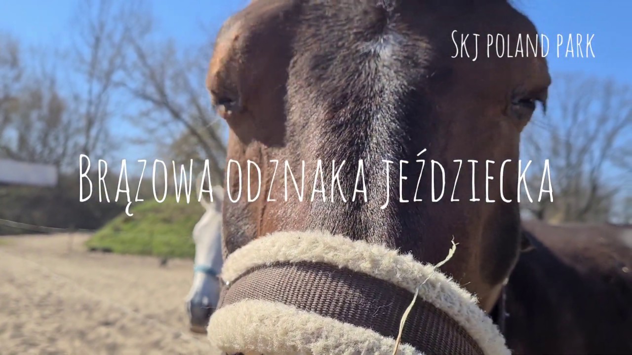 20200422_Egzamin na Brązową Odznakę Jeździecką - czworobok.