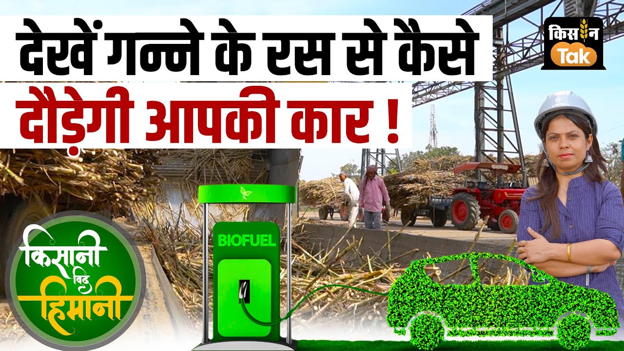 Ethanol Making Process: अब इथेनॉल से चलेंगी कार, देखें कैसे होता है ये गन्ने से तैयार | Sugarcane