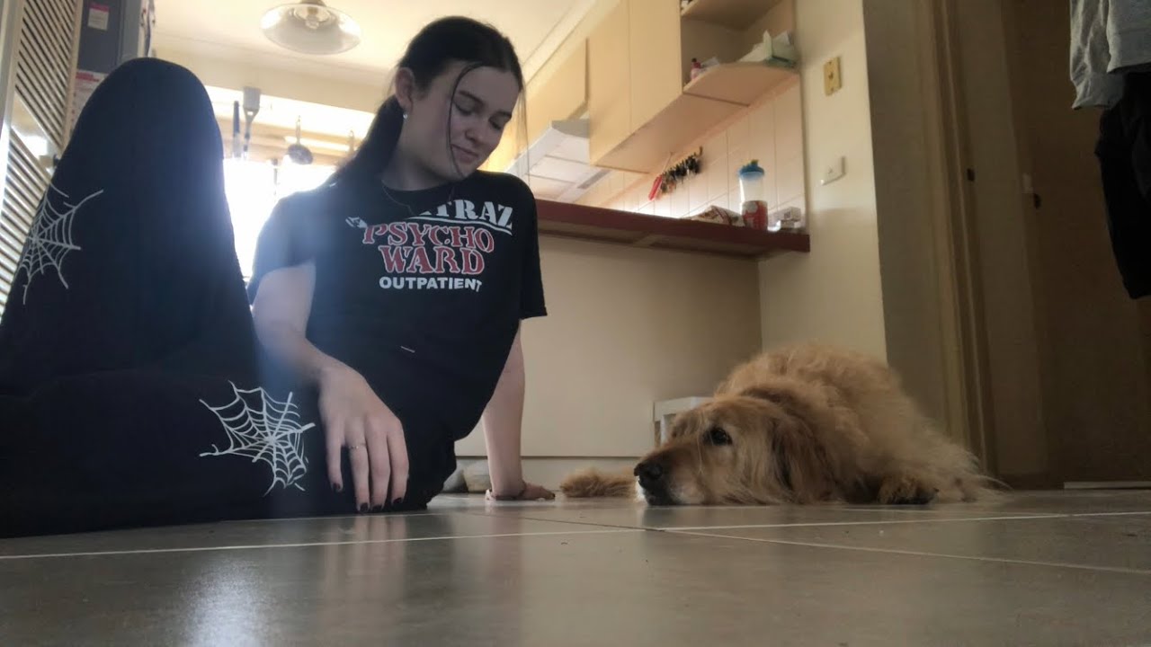 i love my dog