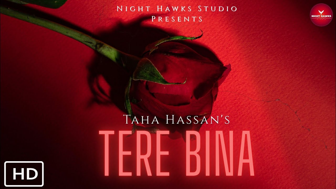 Taha Hassan - TERE BINA (Official Lyrical Video)