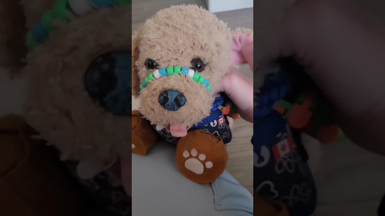 I adopted a dog today!!! (roleplay!) #essa #emotionalsupportstuffedanimal #adopting #nameideas