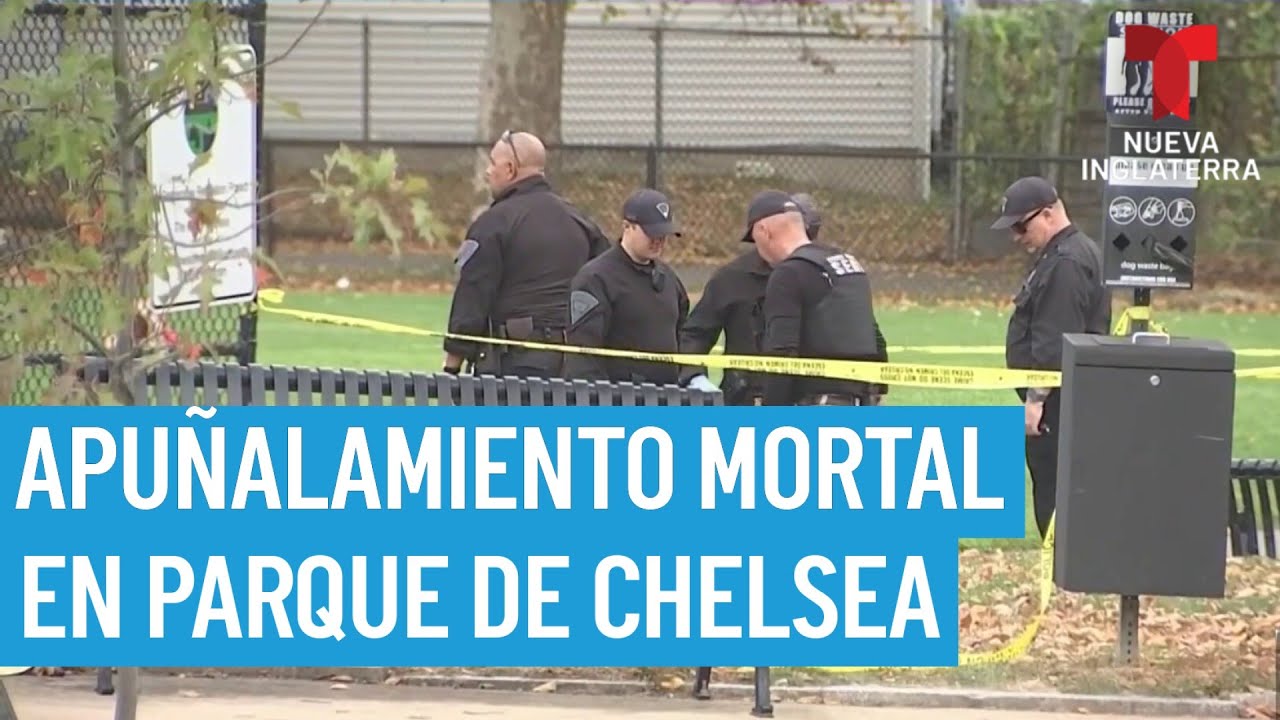 Hombre muere acuchillado en parque de Chelsea