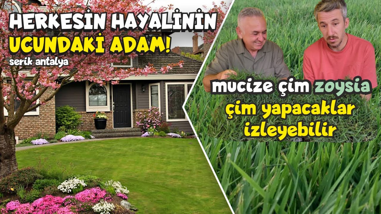 Parasız kaldı, yılmadı. Amerika'dan davet aldı. MUCİZE ÇİM ZOYSİA ile şimdi herkes onu tanıyor!