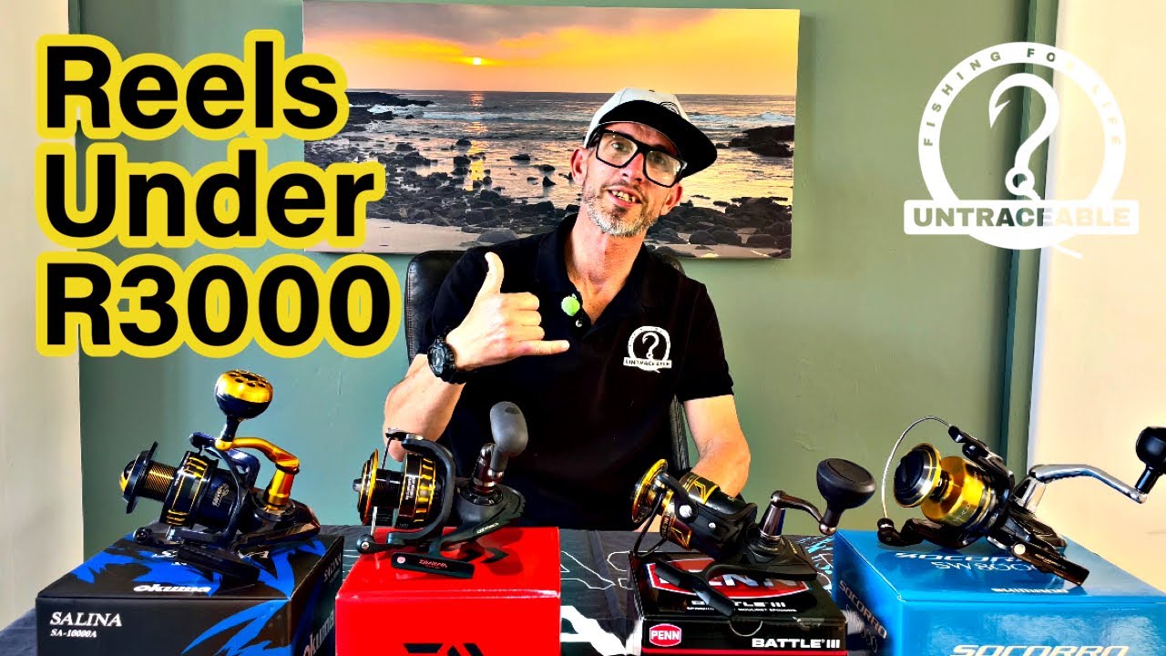 BEST reels under R3000 | Penn Battle III | Daiwa BG | Okuma Salina |Shimano Socorro