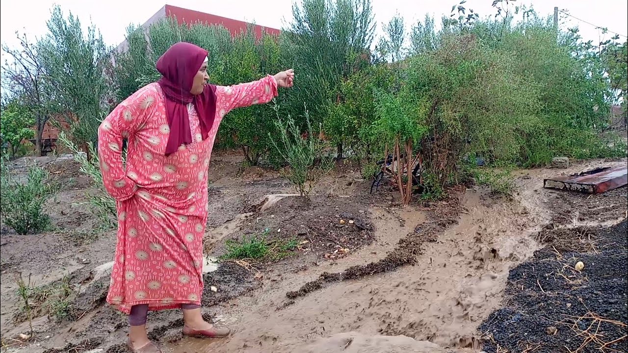 ياربي تكمل فرحتنا🤲 ربي رزقنا با لشتاء⁦🌧️⁩