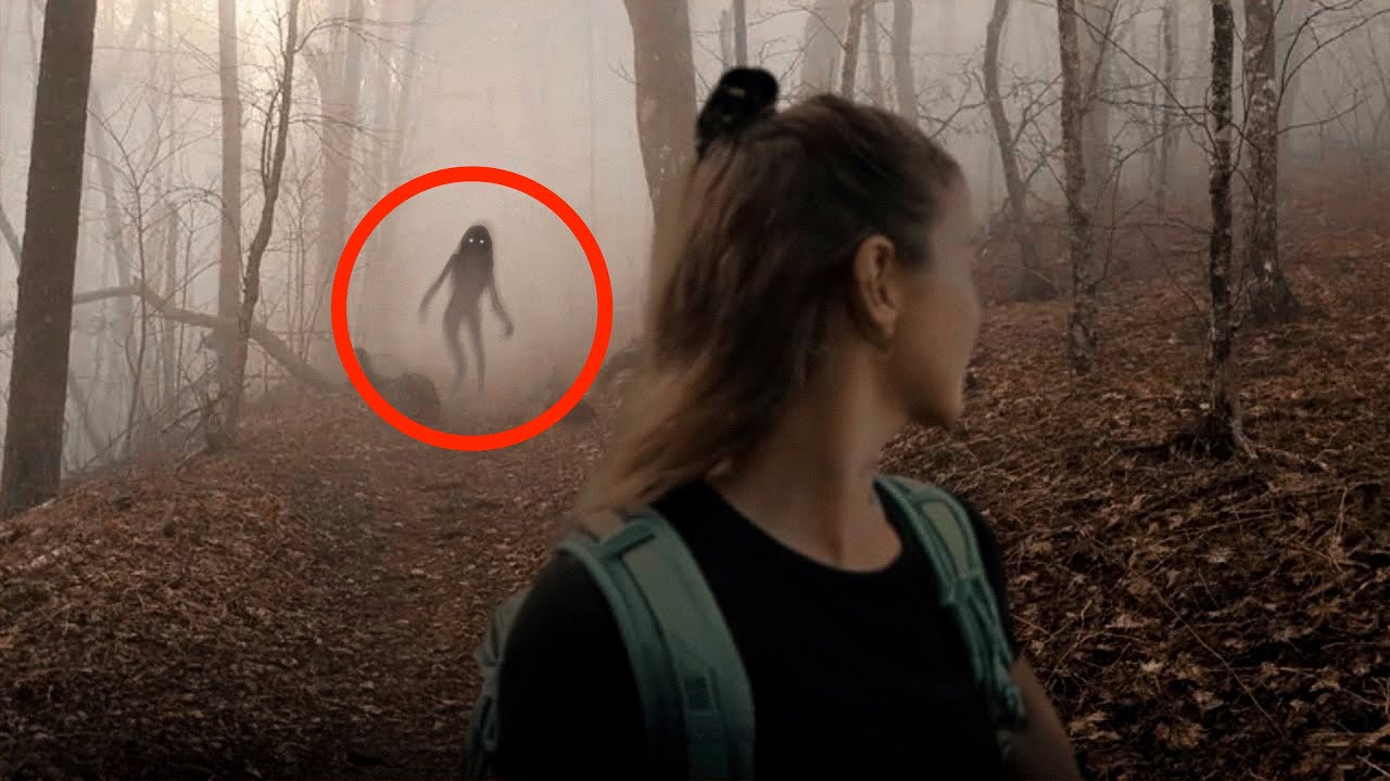 15 Scary Forest Videos That&rsquo;ll Make You Avoid the Outdoors