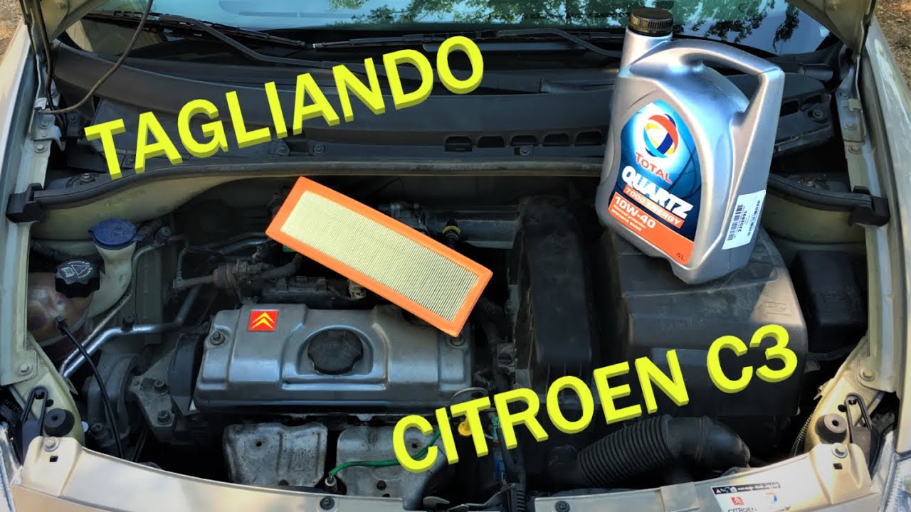 Tagliando Citroen C3 1.1 Sostituzione Candele