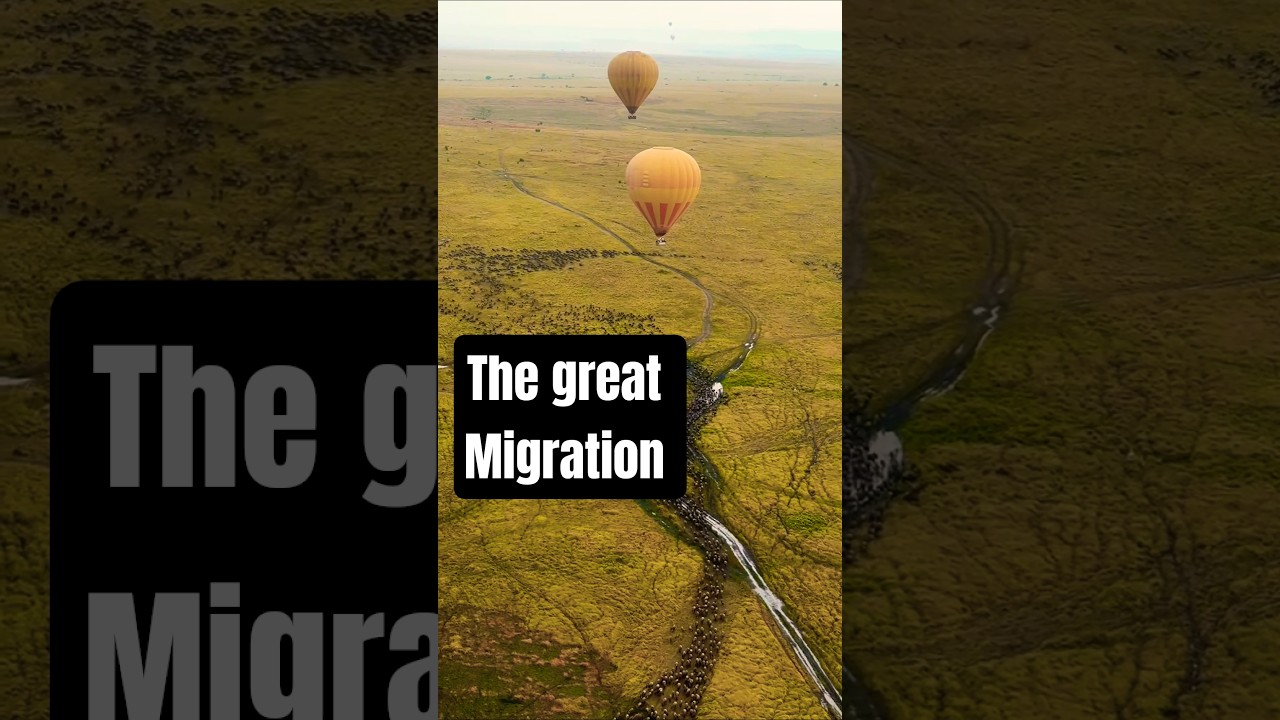 the great migration | balloon safari kenya | best time to visit kenya