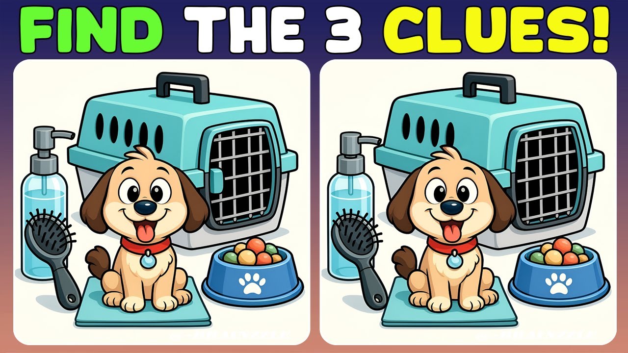 Find 3 Differences in 90 seconds | Try this brain exercise : find three changes!
