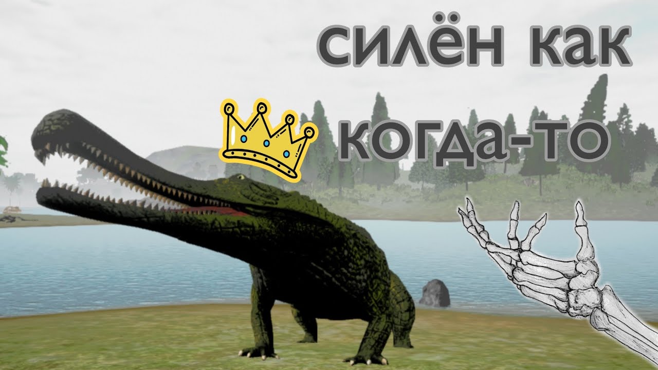 Сарко Chill