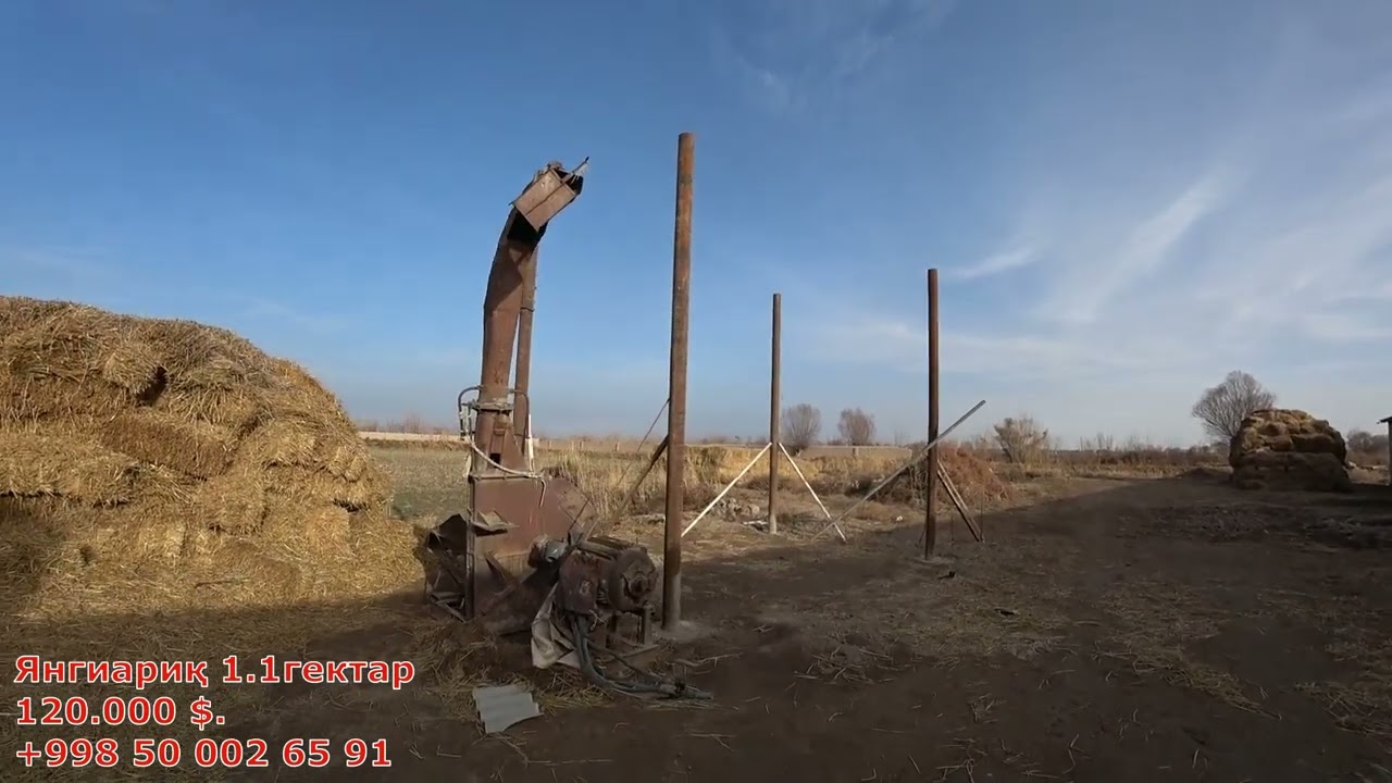 ТАЁР ФЕРМА СОТИЛАДИ! ЯНГИАРИҚ ҚАРМИШДА. ЧОРВАЧИЛИК