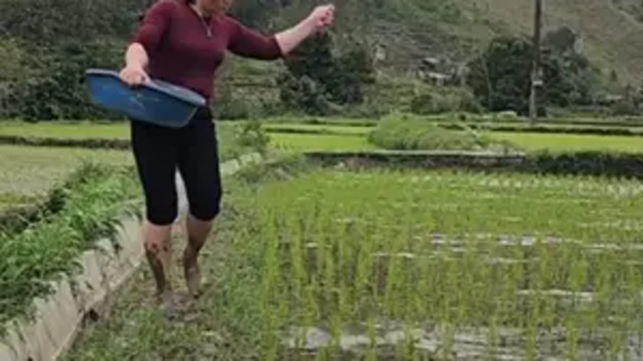 第163集｜ 家园里的种植业珍妮没有忘记野外生活纪录片 大山里的生活 神奇的闲鱼