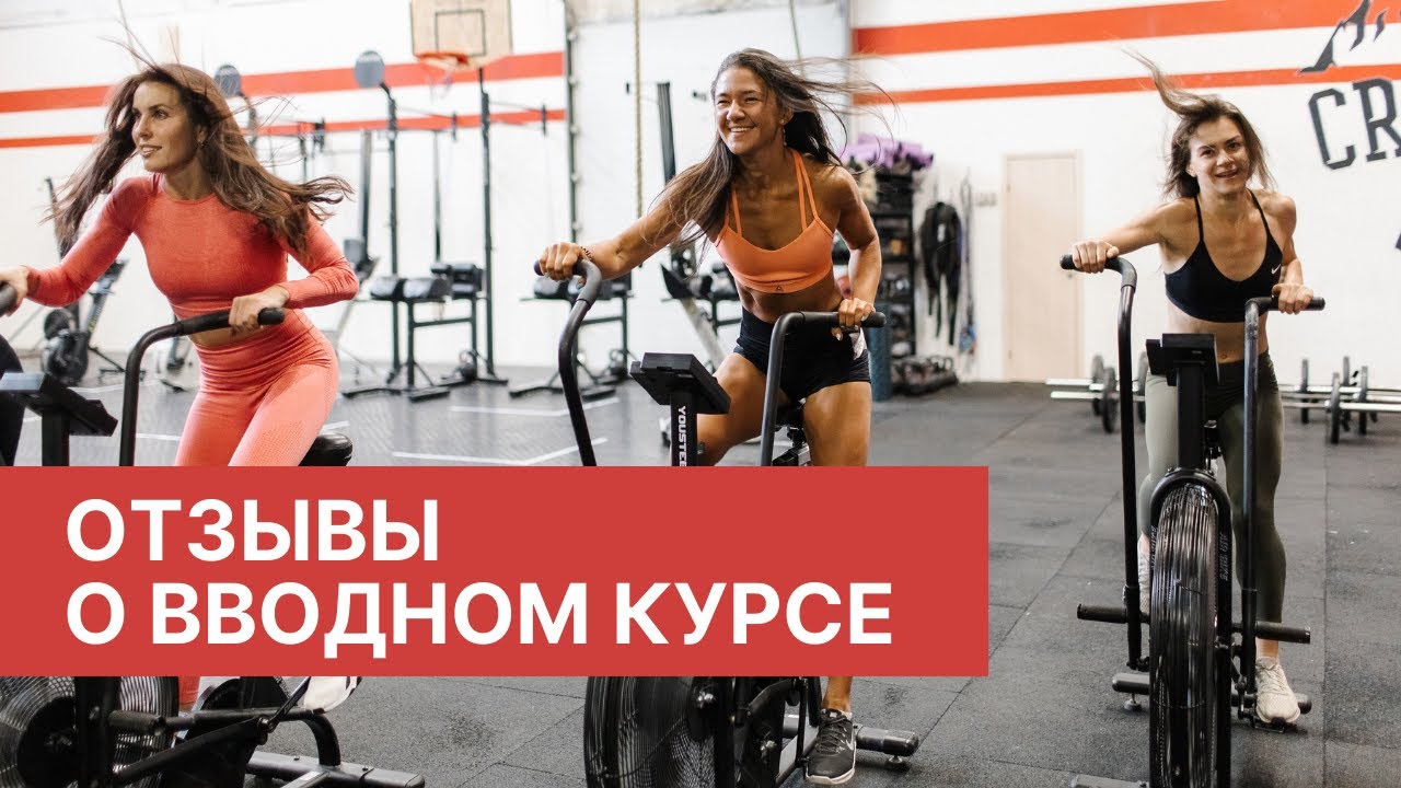 Отзывы о вводном курсе (2020)