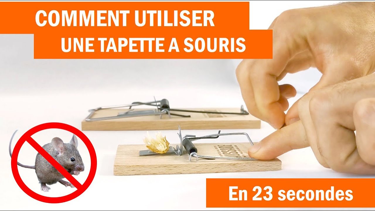 Tapette &agrave; souris et &agrave; rats, comment les utiliser ?