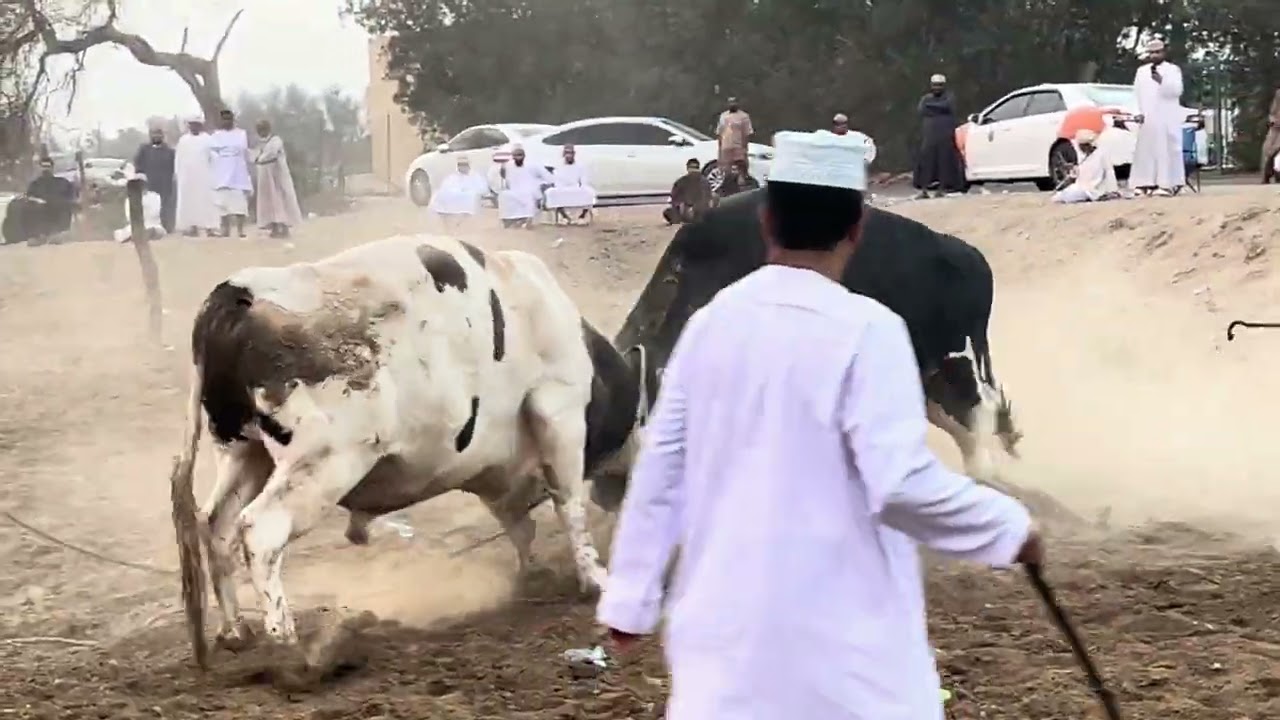 الونان & جهنم