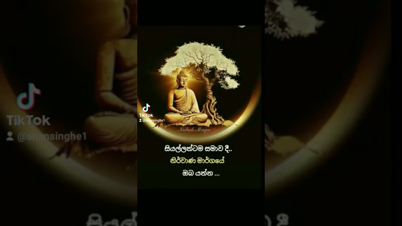 #foryou #dharmaya #status #motivation