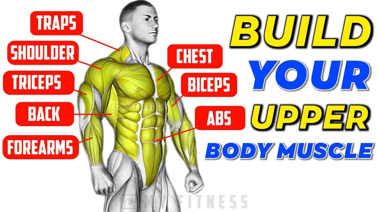 Upper Body Workout At Home No Equipment