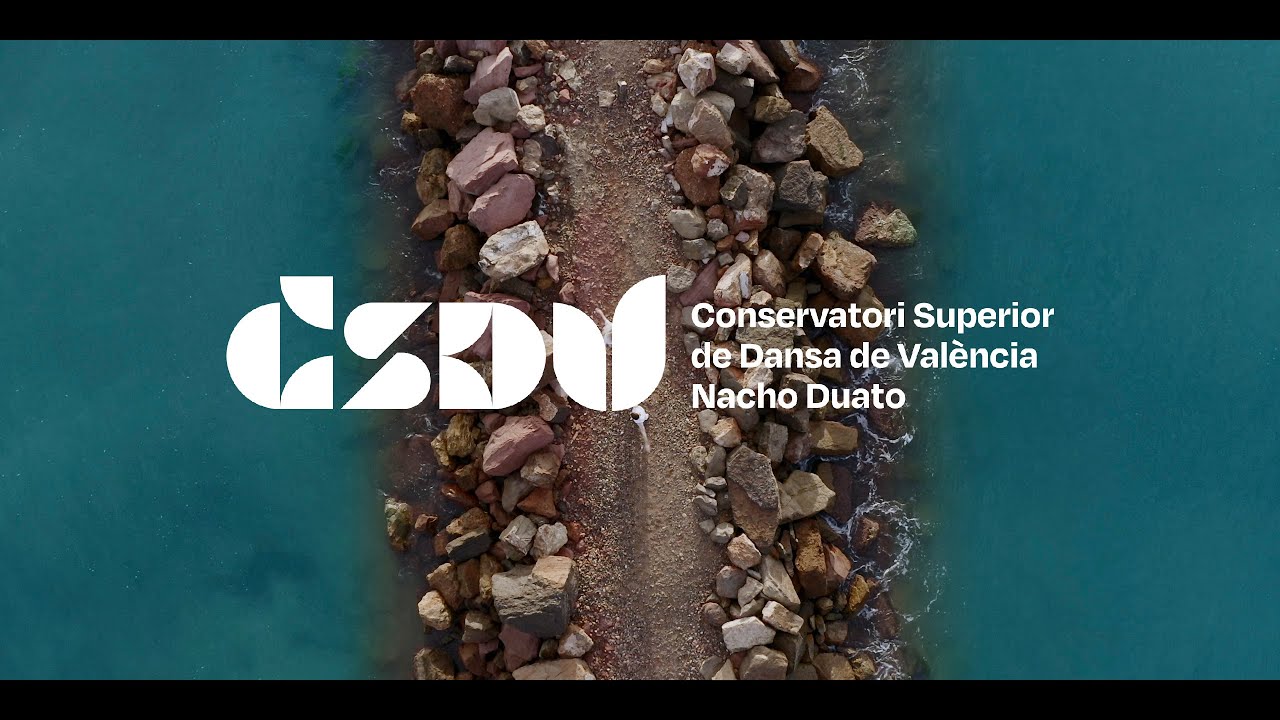 CSDV 20 anys ballant amb vosaltres