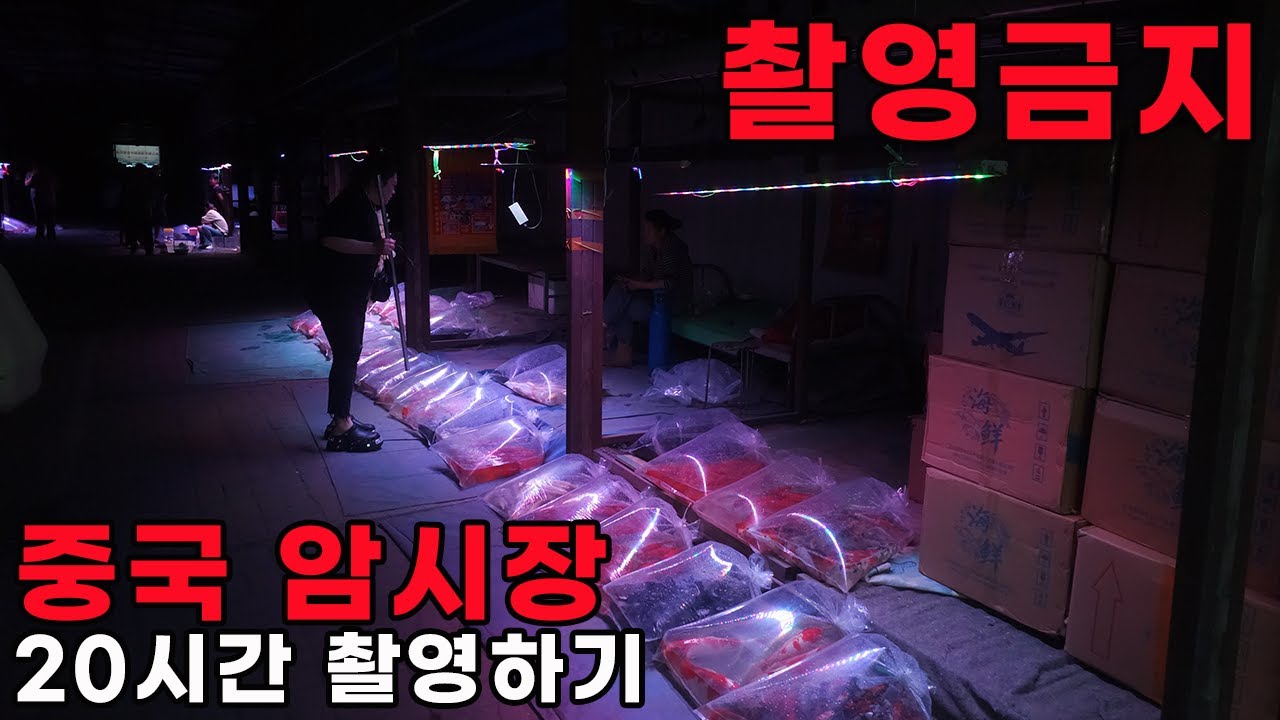 촬영금지된 중국 시골 열대어암시장, 살벌한 20시간 버티기.