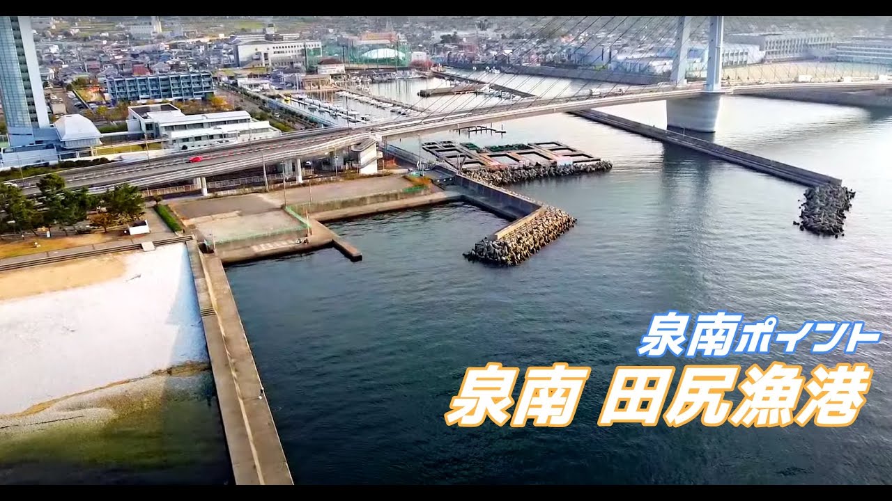泉南 田尻漁港  青物人気の泉南エリア! 複雑な人工的ストラクチャーが釣り心を刺激する！メバリング＆アジングなども面白い！