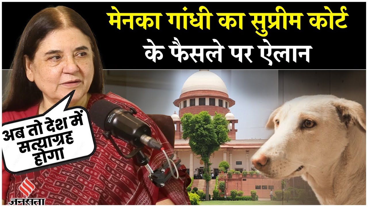 Maneka Gandhi’s Strong Reaction on Supreme Court Order on Stray Dogs in Delhi NCR