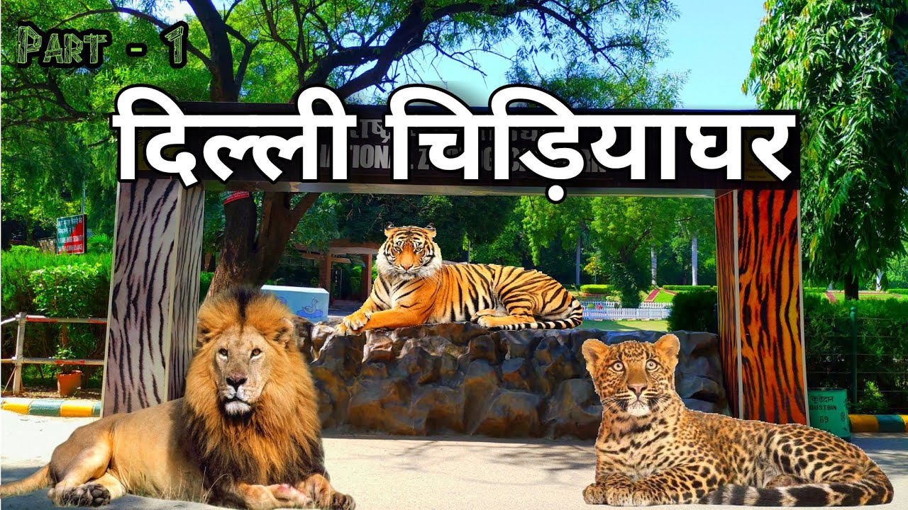Delhi Zoo | दिल्ली चिड़ियाघर | National Zoological Park | Delhi India