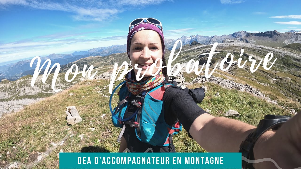 Le probatoire du dipl&ocirc;me d'&eacute;tat d'AMM : mon r&eacute;cit et mes conseils !