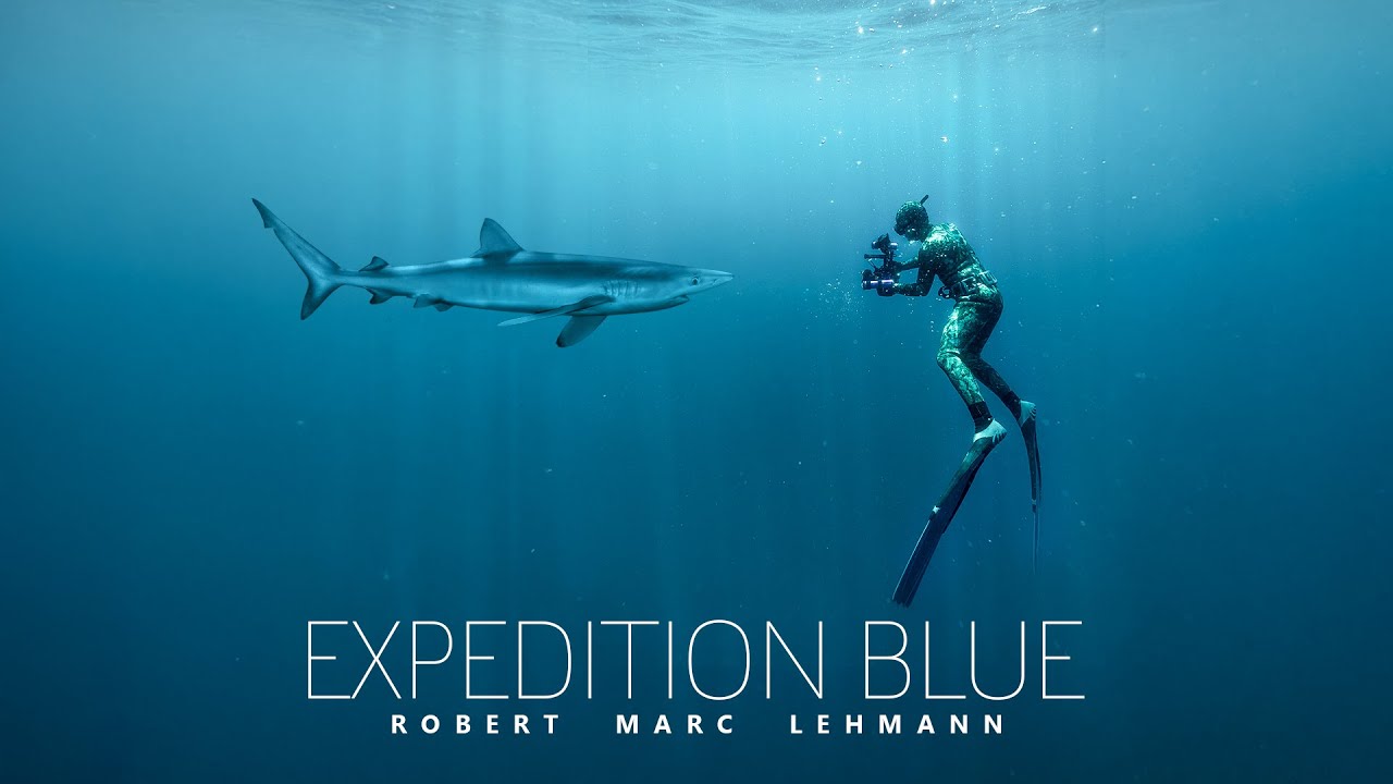 Das ist mit euren 100.000€ von #haibockangriff passiert | Folge 01