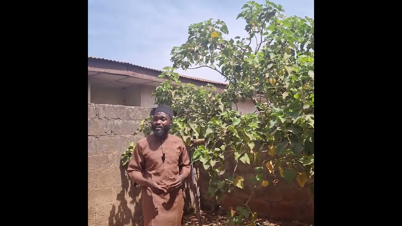 ÌWÒSÀN NINU ISLAM !!!#Iwulo ewe lápá lapa #ewe Iyalode,#botuje fún MUSULUMI IN+2348033537107