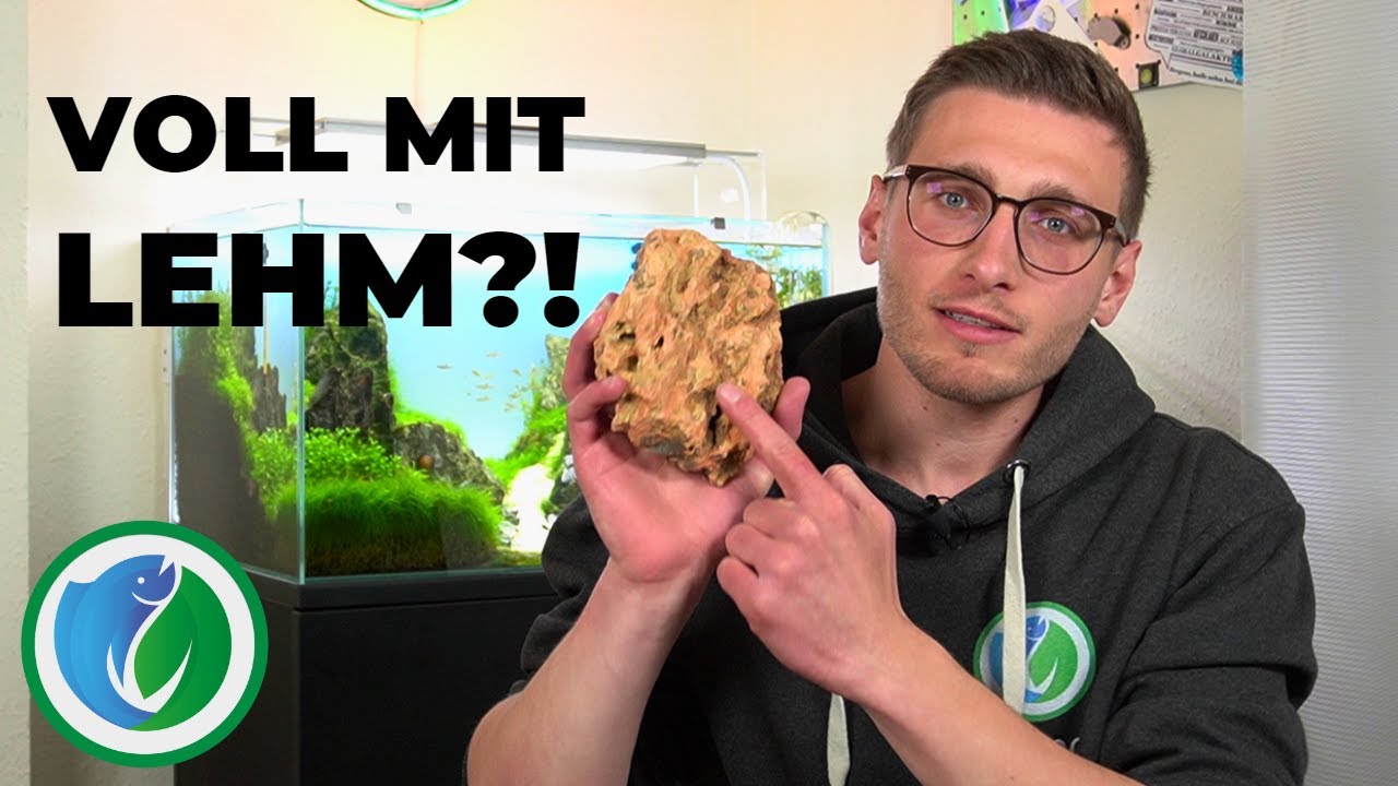 Drachenstein/Dragonstone ganz EASY f&uuml;r dein Aquarium vorbereiten