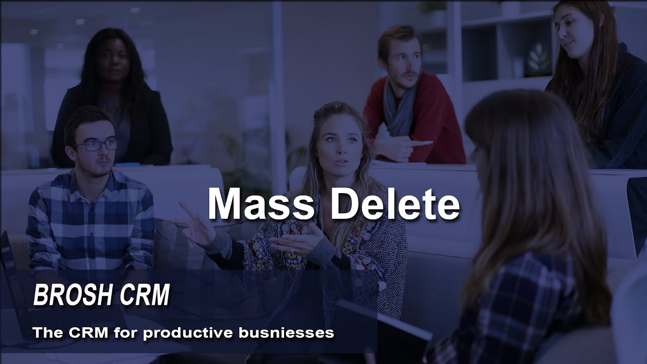 BROSH CRM - Mass Delete