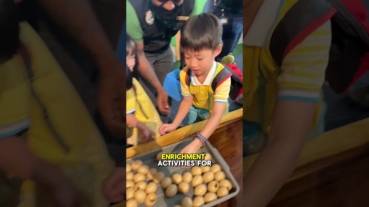 🦧[FIRST LOOK] Mandai ZooSchool: SG’s First Wildlife Adventure School in Singapore!