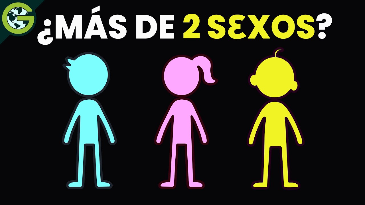¿Qué Pasaría si EXISTIERAN Más de 2 GAMETOS? ♂️​♀️​